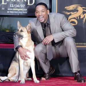 Will Smith findet rührende Worte für seine Filmhündin Abbey