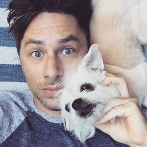 Rührende Bilder: Zach Braff trauert um seinen Hund Roscoe