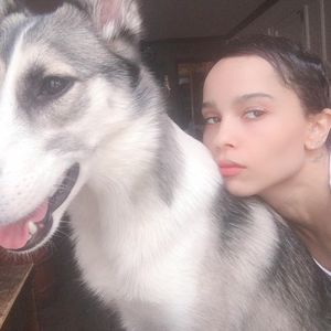 Zoe Kravitz sauer: Fan wirft ihr vor, ihre Haut aufzuhellen!