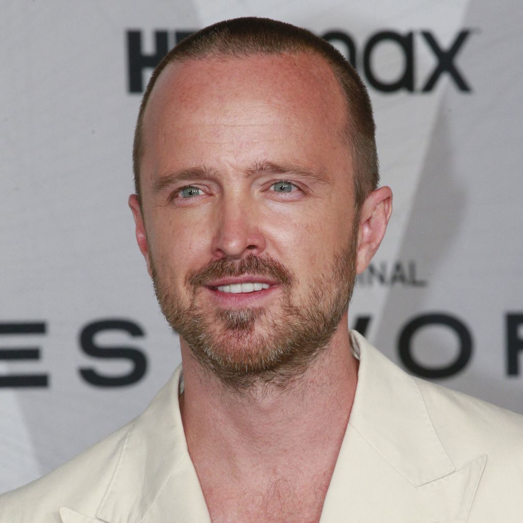 Aaron Paul, Schauspieler