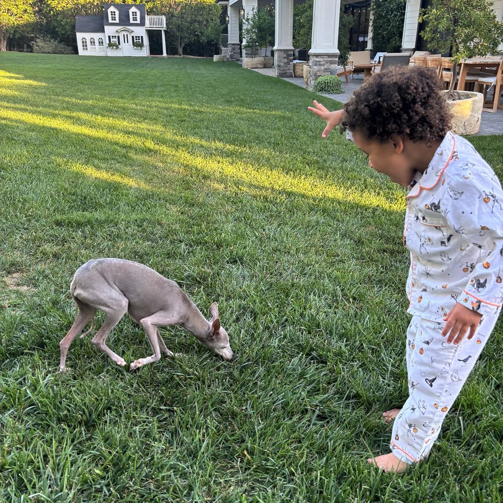 Kylie Jenners Sohn Aire mit ihrem Hund Norman