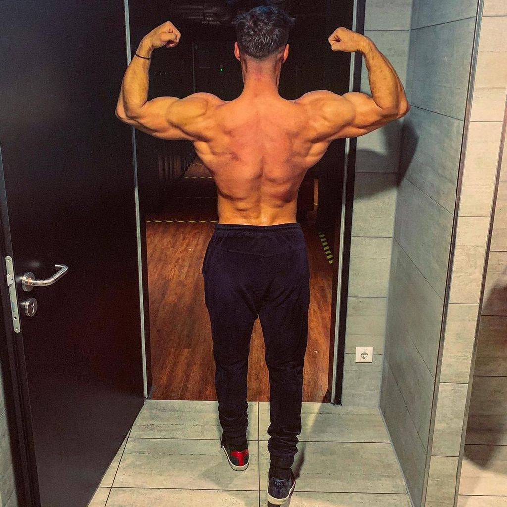 Aleksandar Petrovic, Realitystar