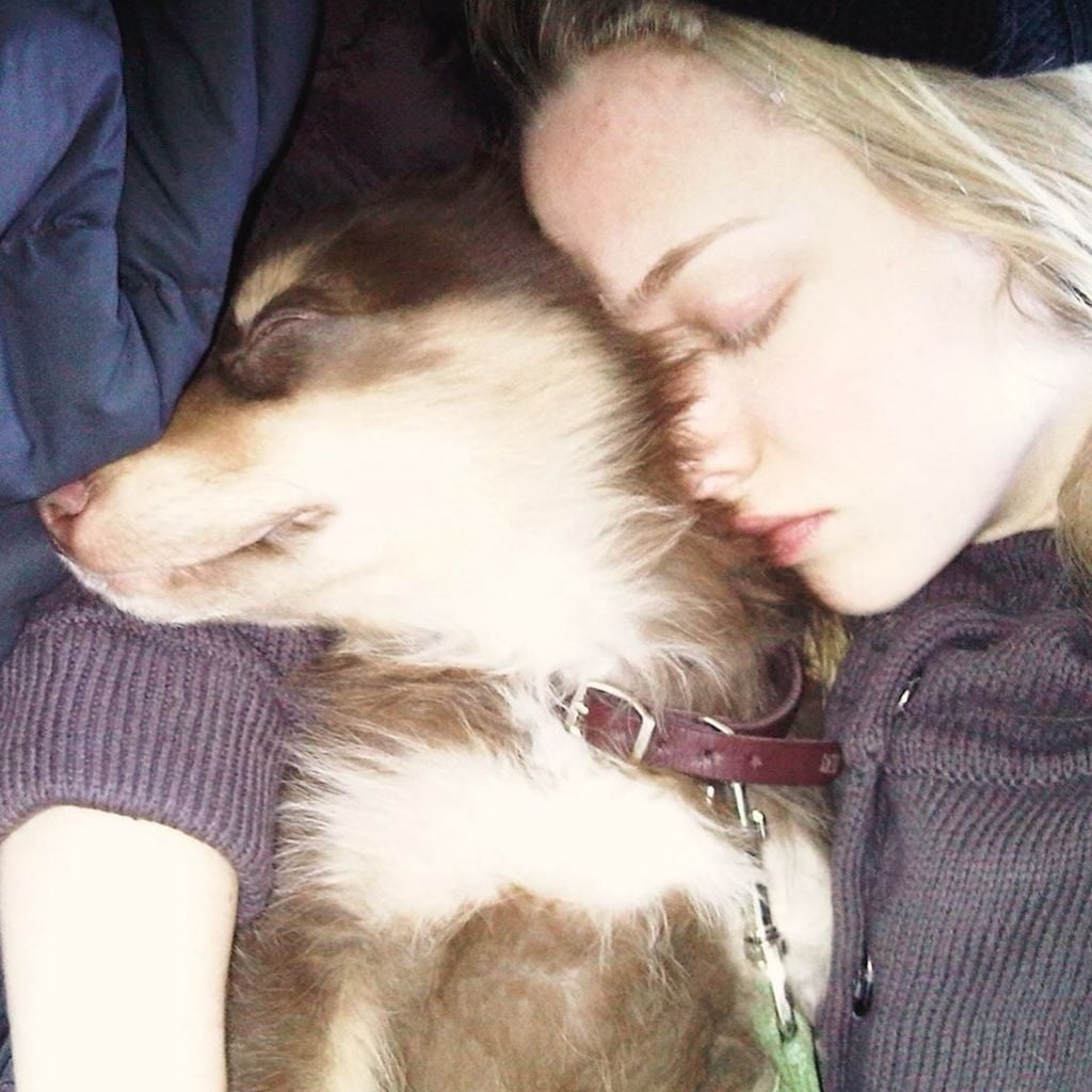 Amanda Seyfried und ihr Hund Finn