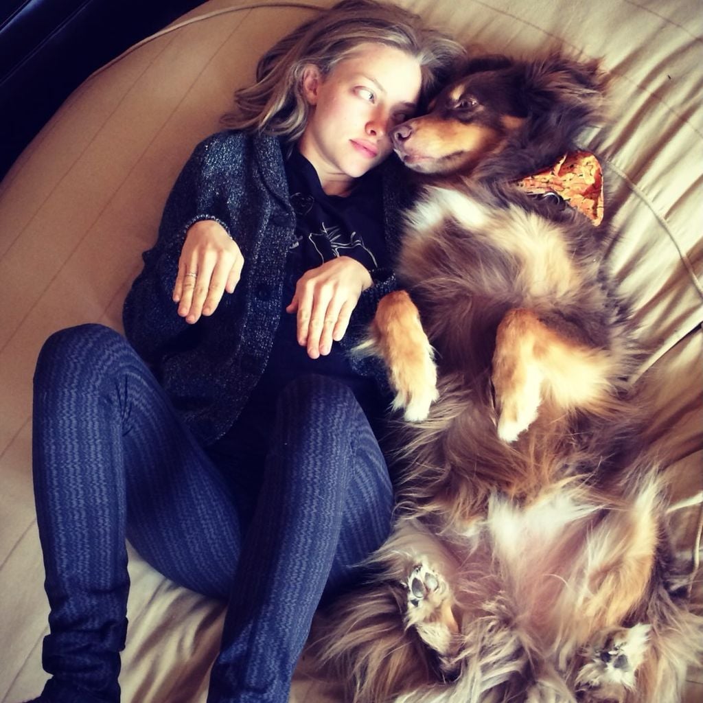 Amanda Seyfried und ihr Hund Finn
