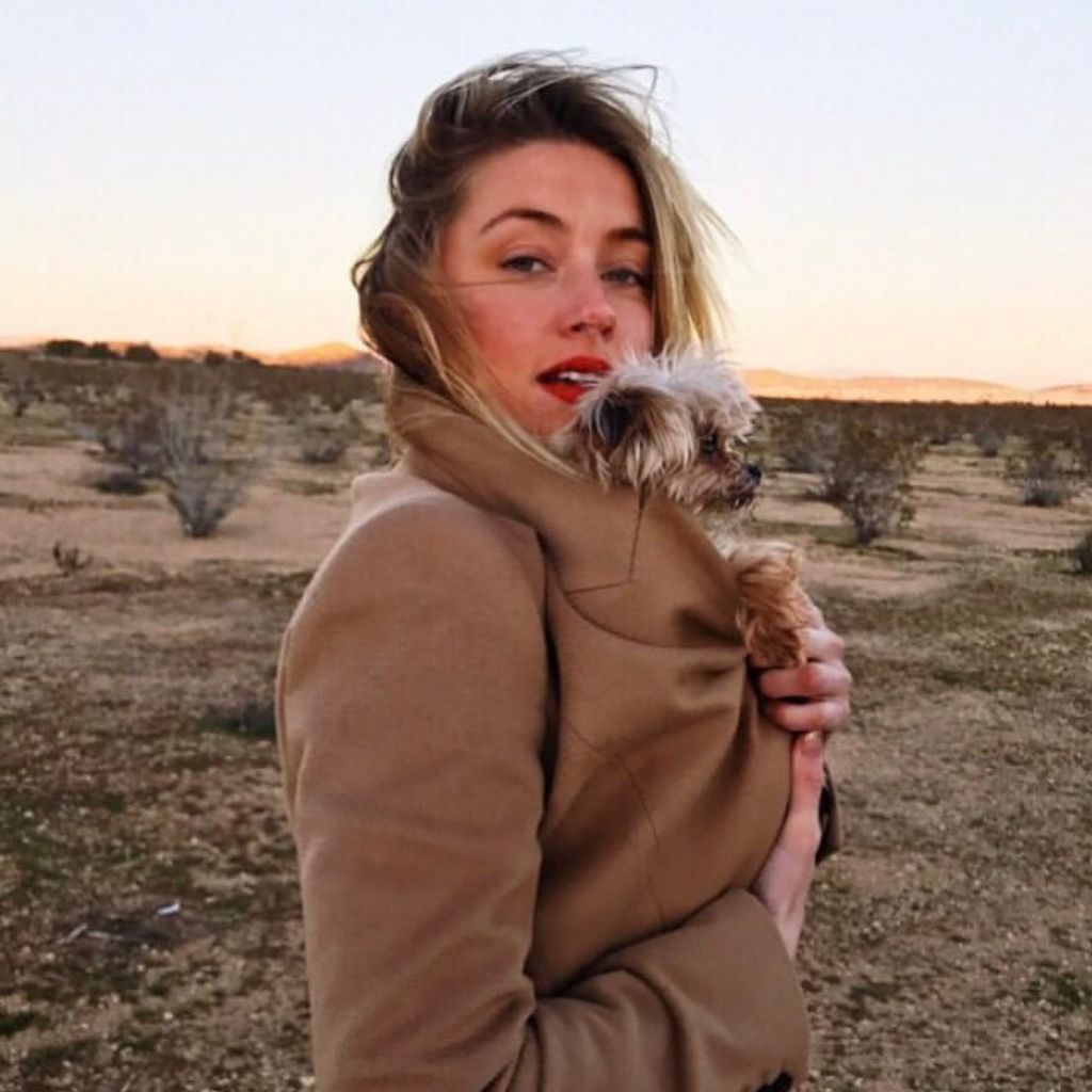 Amber Heard mit ihrem Hund Pistol, Januar 2020