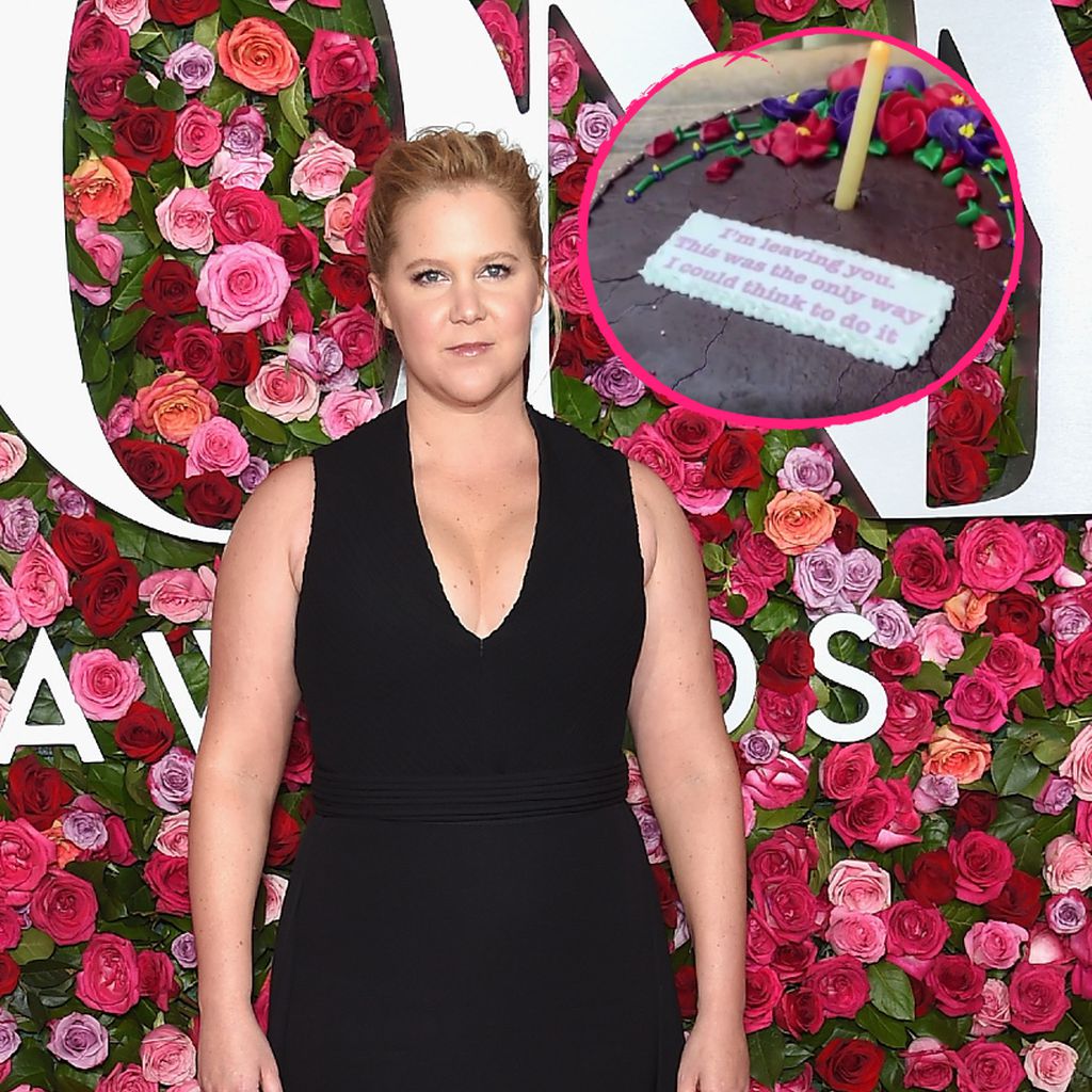 Amy Schumer, Schauspielerin