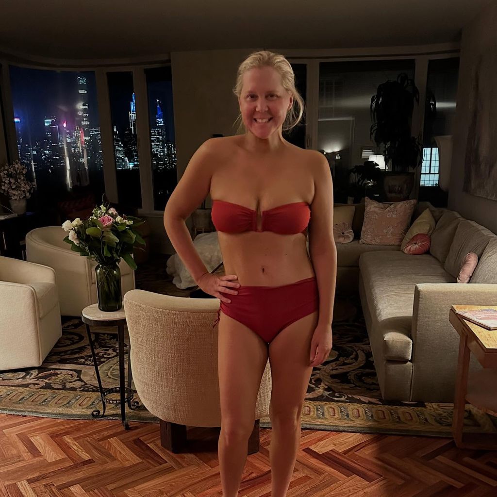 Amy Schumer, Januar 2026