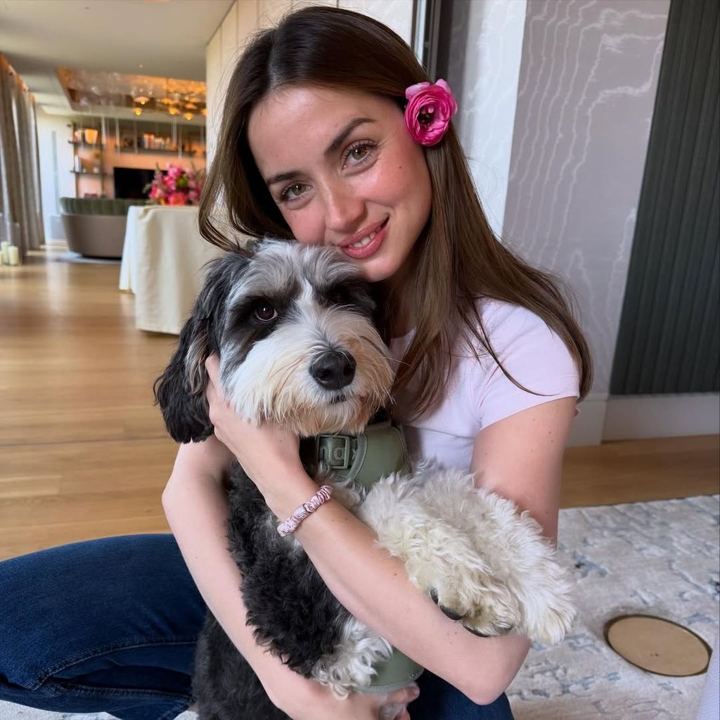 Ana De Armas zeigt sich auf Instagram mit ihrem Hund und einer Blume im Haar