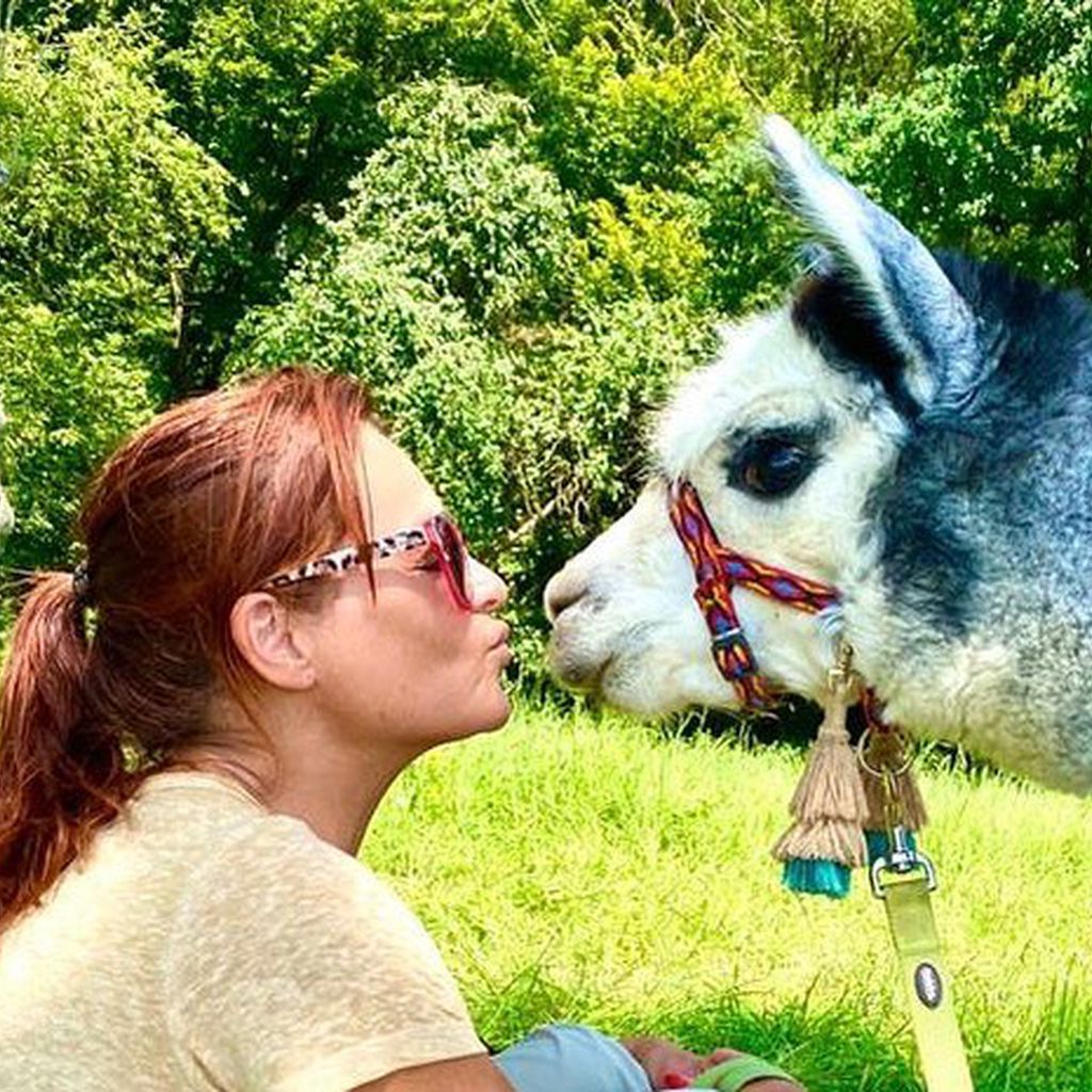 Andrea Berg mit einem ihrer Alpakas, Juli 2020