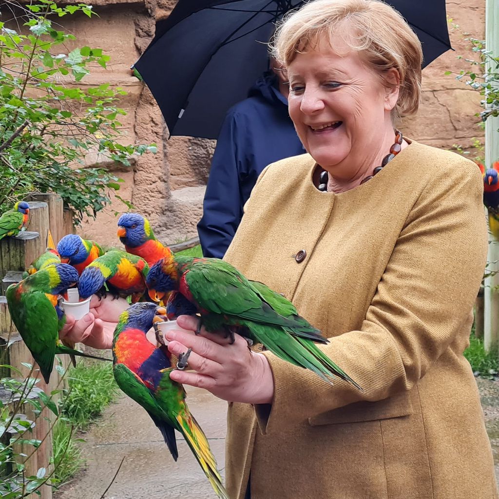 Angela Merkel im September 2021