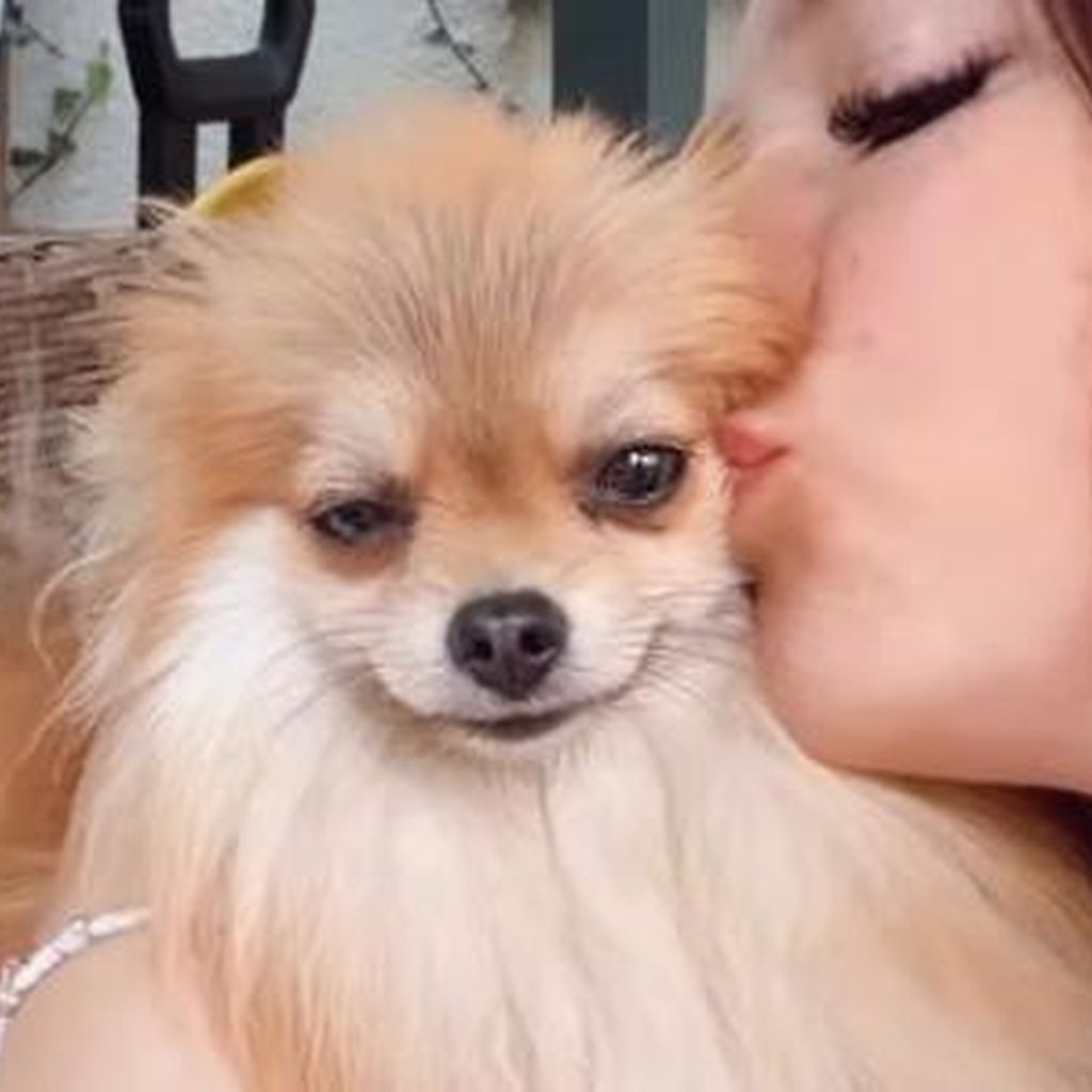 Anne Wünsche und ihr neuer Hund Princess