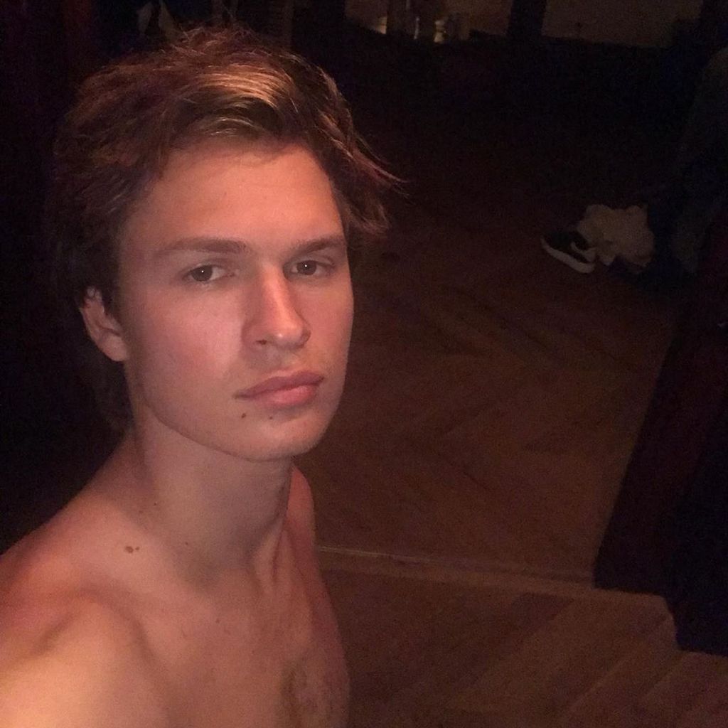 Ansel Elgort, Hollywoodstar