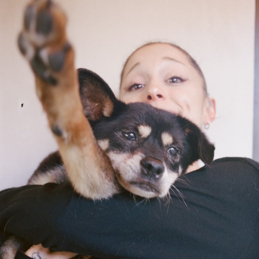Coco, der Hund von Ariana Grande
