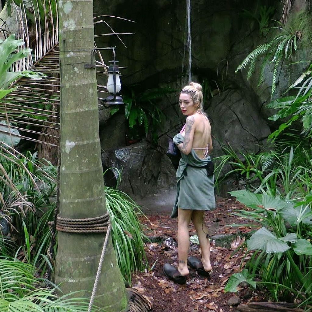 Ariel, Dschungelcamp 2026