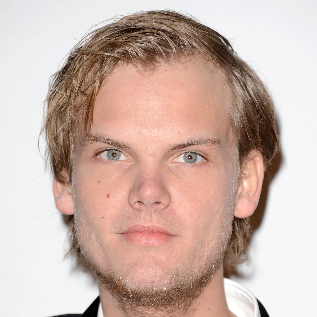 DJ Avicii, 2013
