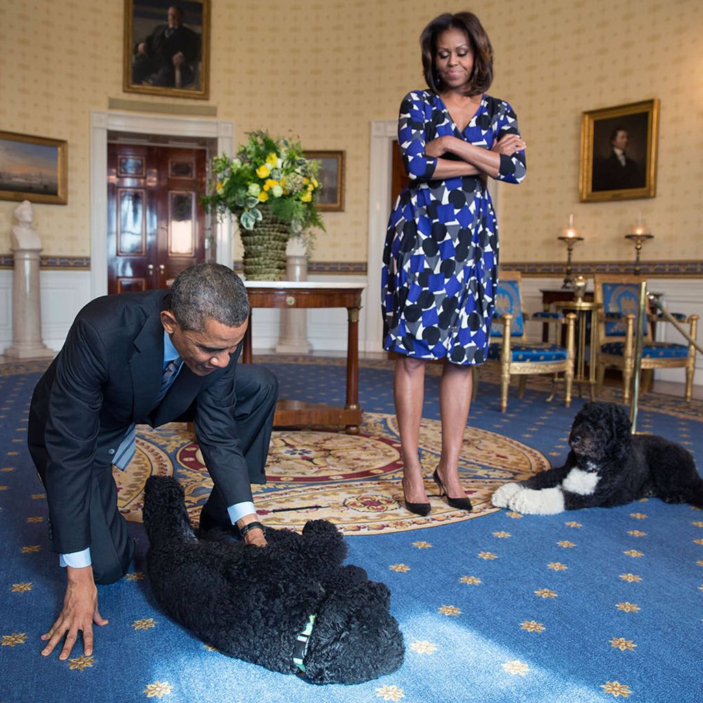 Barack Obama und Michelle Obama spielen mit den Hunden Sunny und Bo im Blue Room des Weißen Hauses