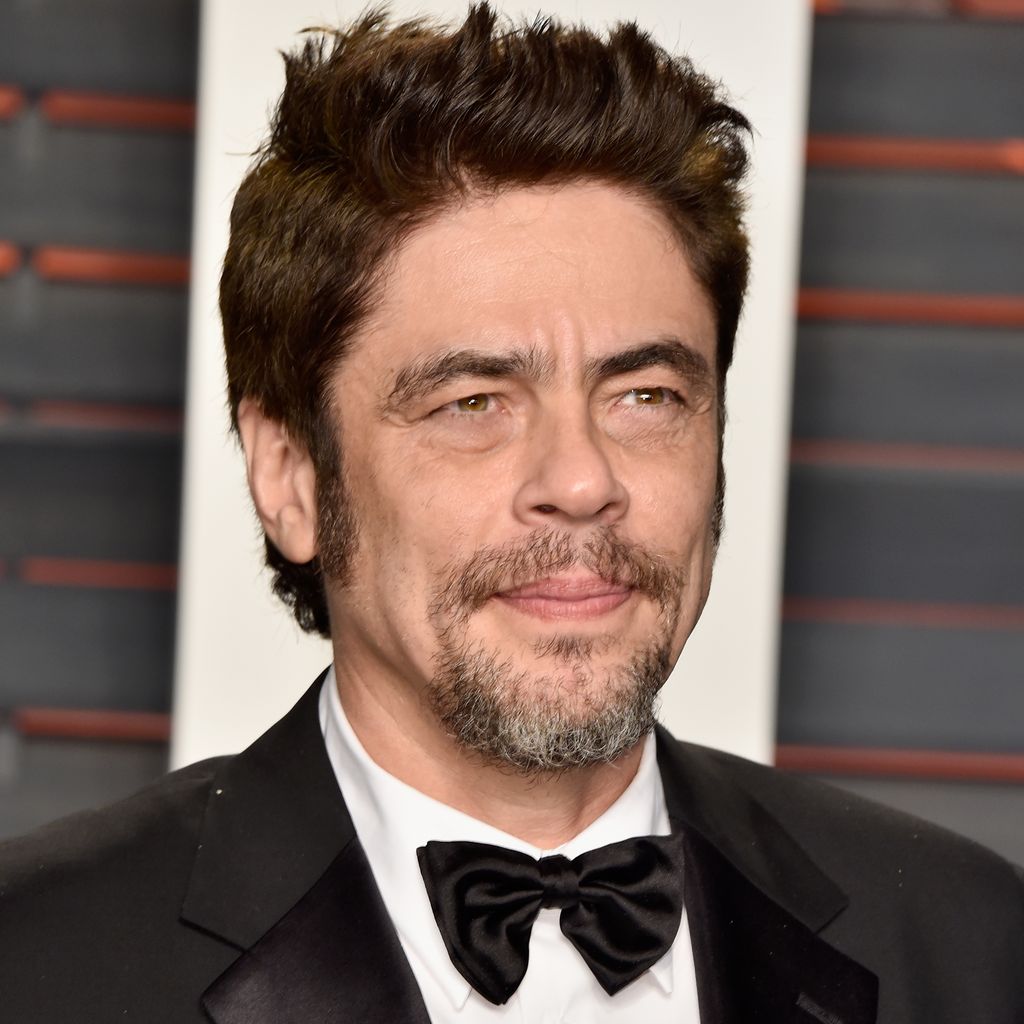 Oscar-Preisträger Benicio Del Toro
