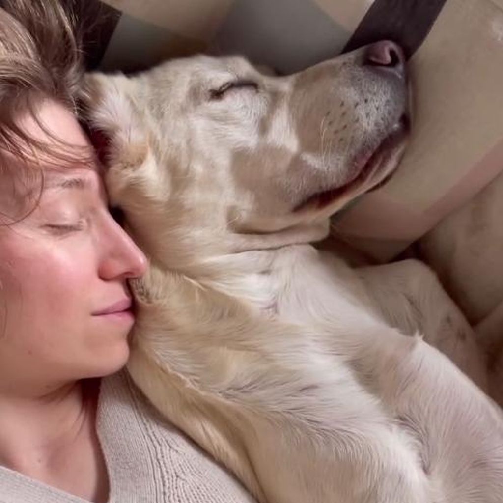 Influencerin Bibi Heinicke und ihre Hündin Millie, 2024
