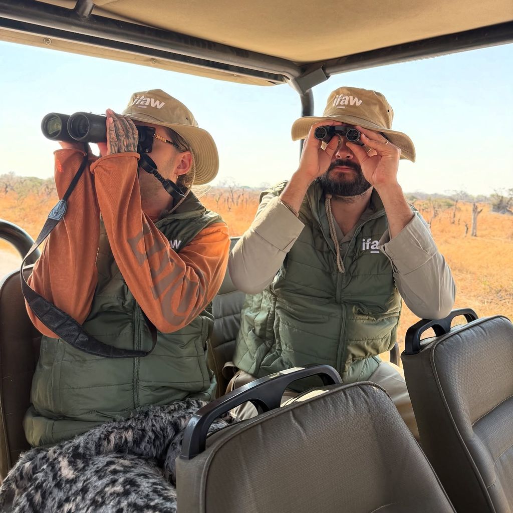 Bill und Tom Kaulitz auf Safari im September 2025