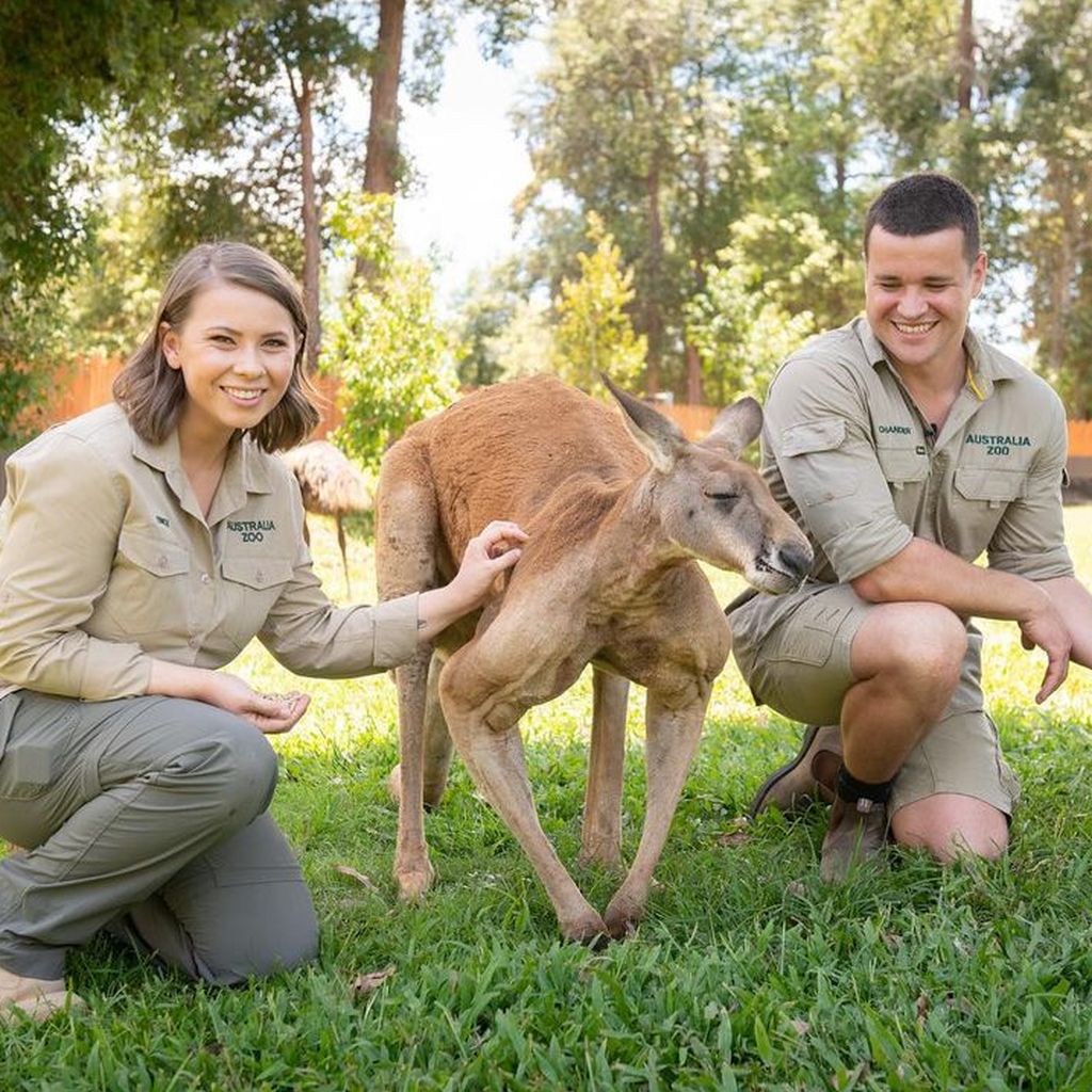 Bindi Irwin und Chandler Powell mit ihren Kangurus