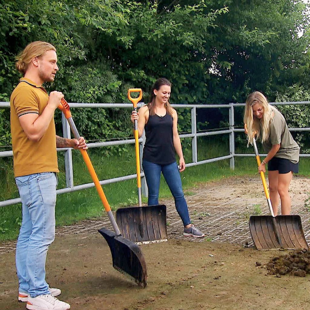 Björn, Kathrin und Dani bei "Bauer sucht Frau" 2021