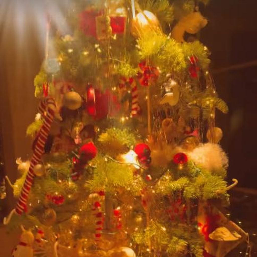 Blake Lively und Ryan Reynolds Weihnachtsbaum