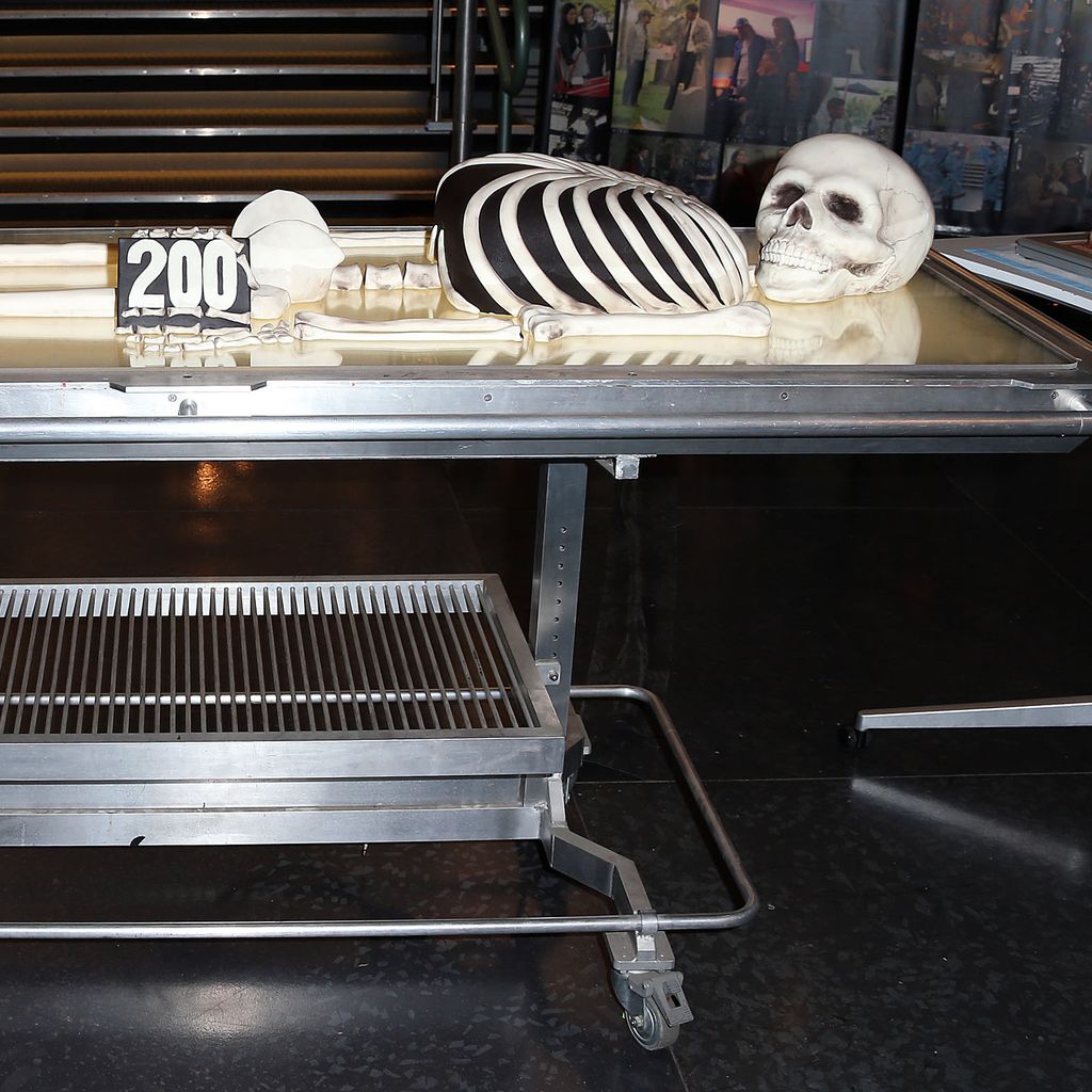 Bones