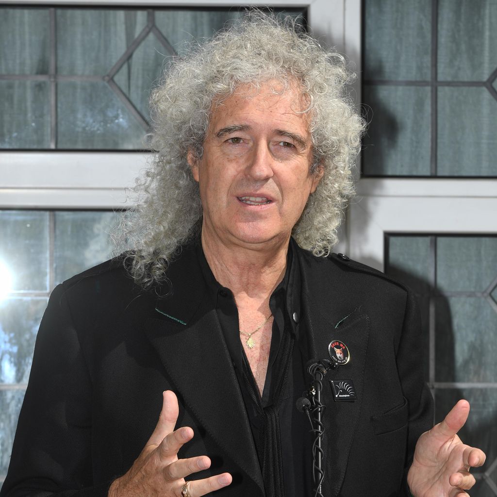 Brian May, Musiker