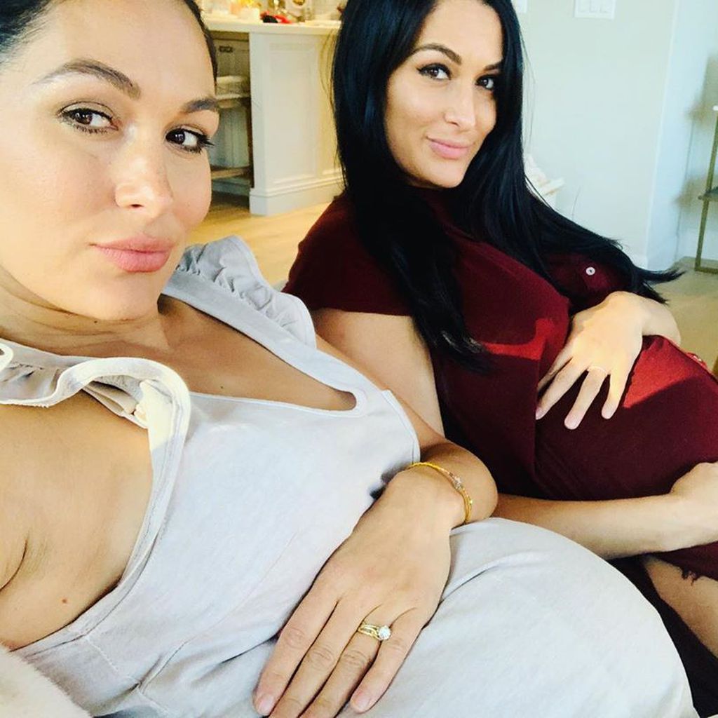 Brie Bella und Nikki Bella im Jahr 2020