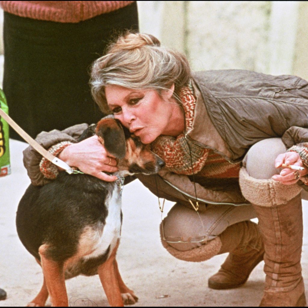 Brigitte Bardot mit einem Hund