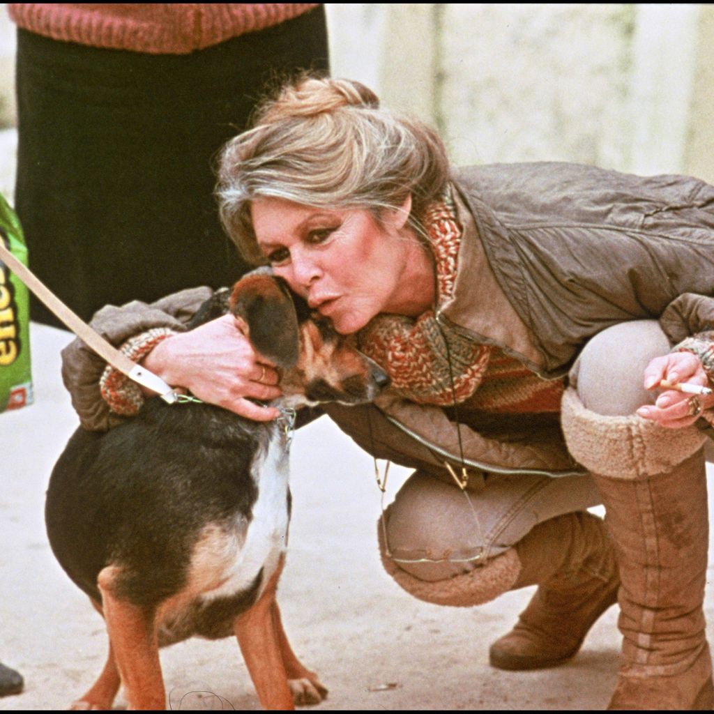 Brigitte Bardot mit einem Hund