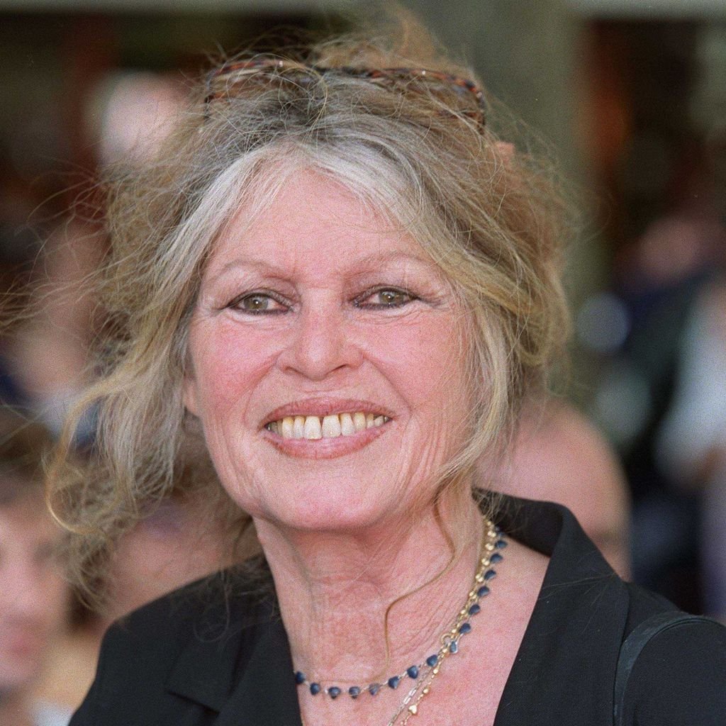 Brigitte Bardot, Schauspielerin