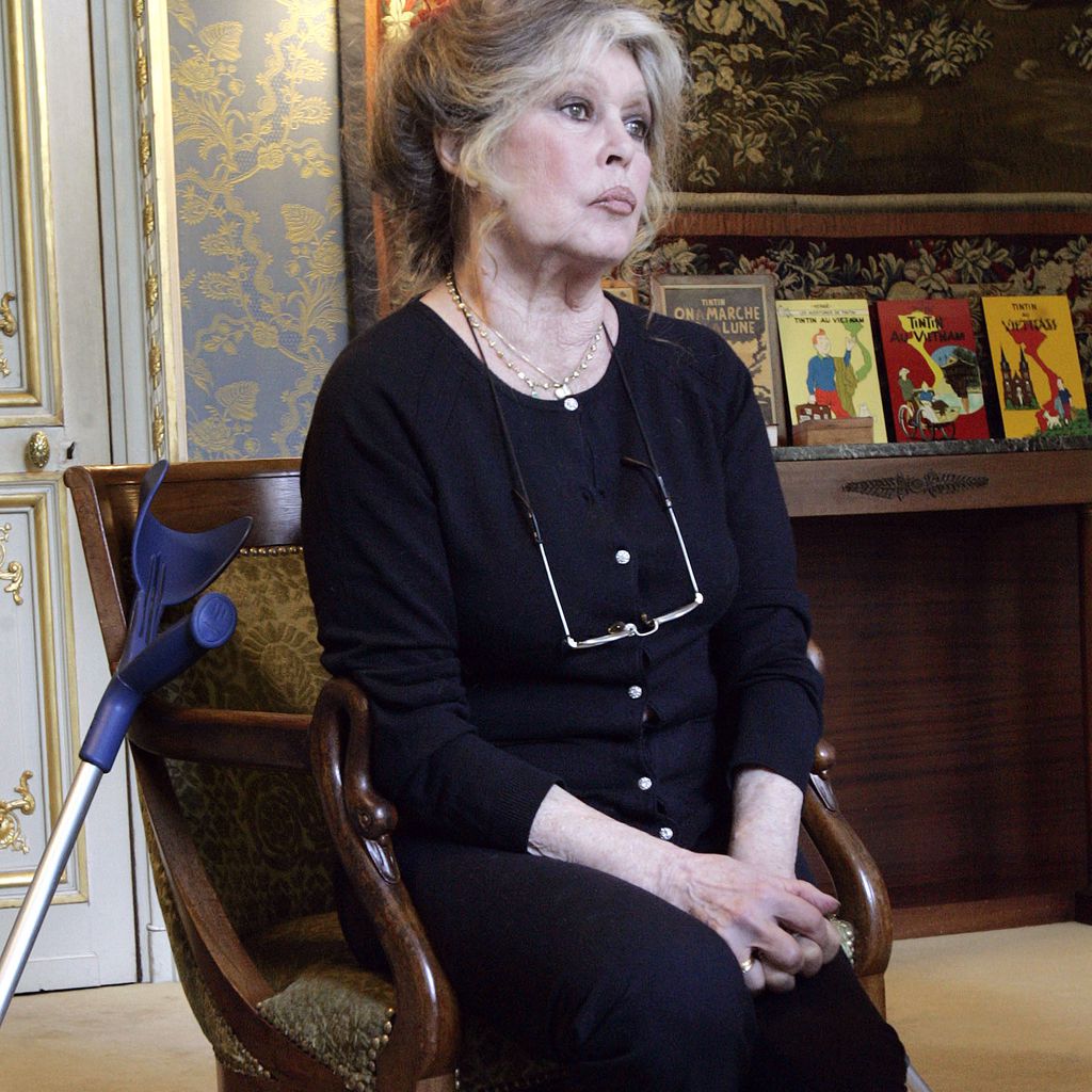 Brigitte Bardot bei einem Event in Paris im Mai 2006