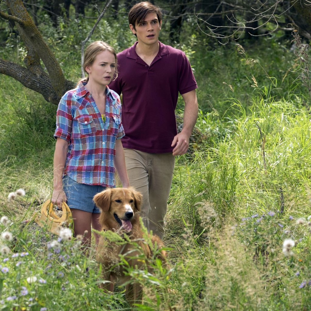 Britt Robertson und KJ Apa in "Bailey – Ein Hund fürs Leben" 2017