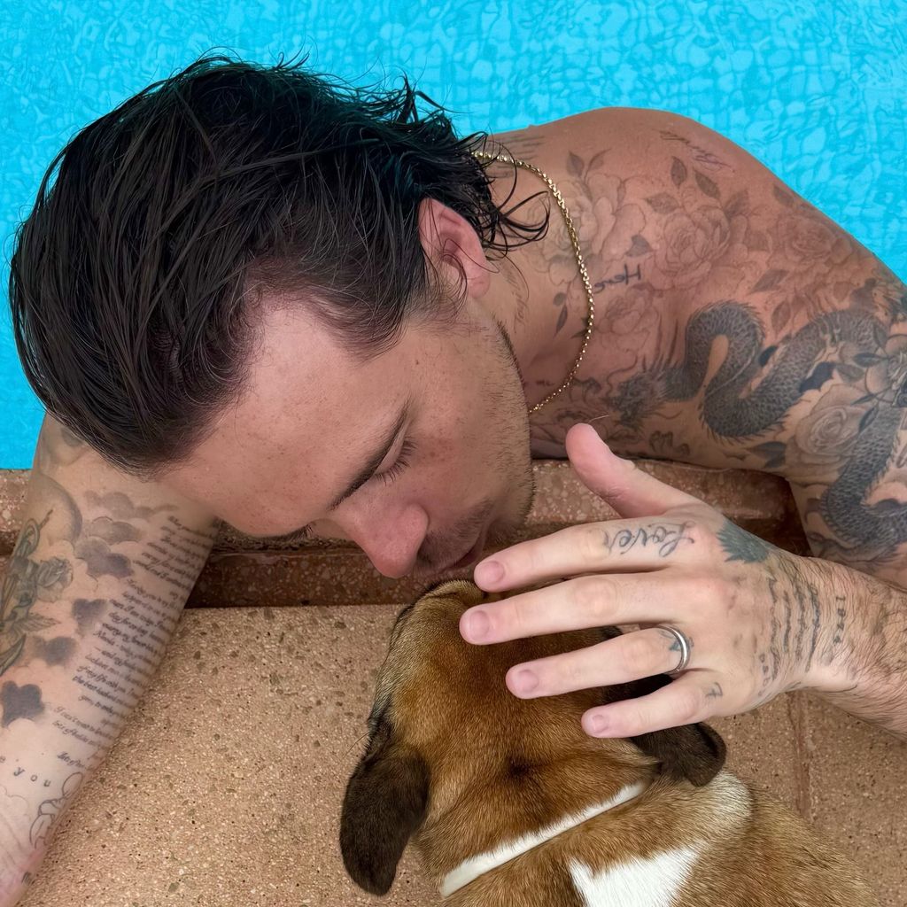 Brooklyn Peltz-Beckham kuschelt mit seinem Hund
