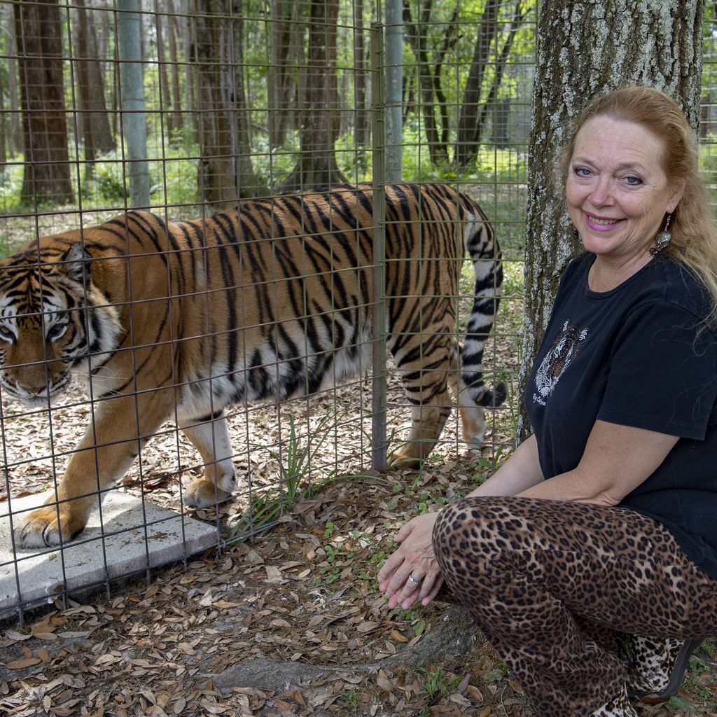Carole Baskin, Gründerin von Big Cat Rescue