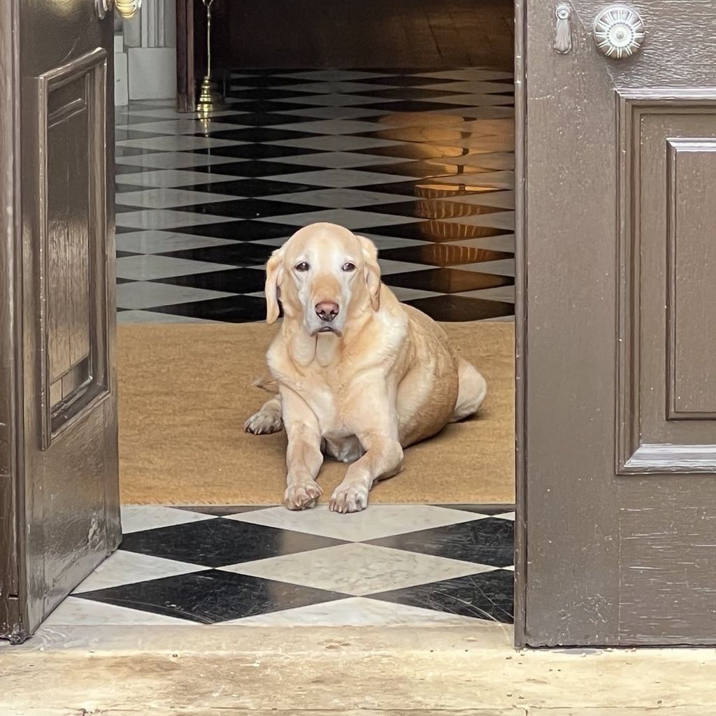 Charles Spencer verstorbener Hund Otis 2024