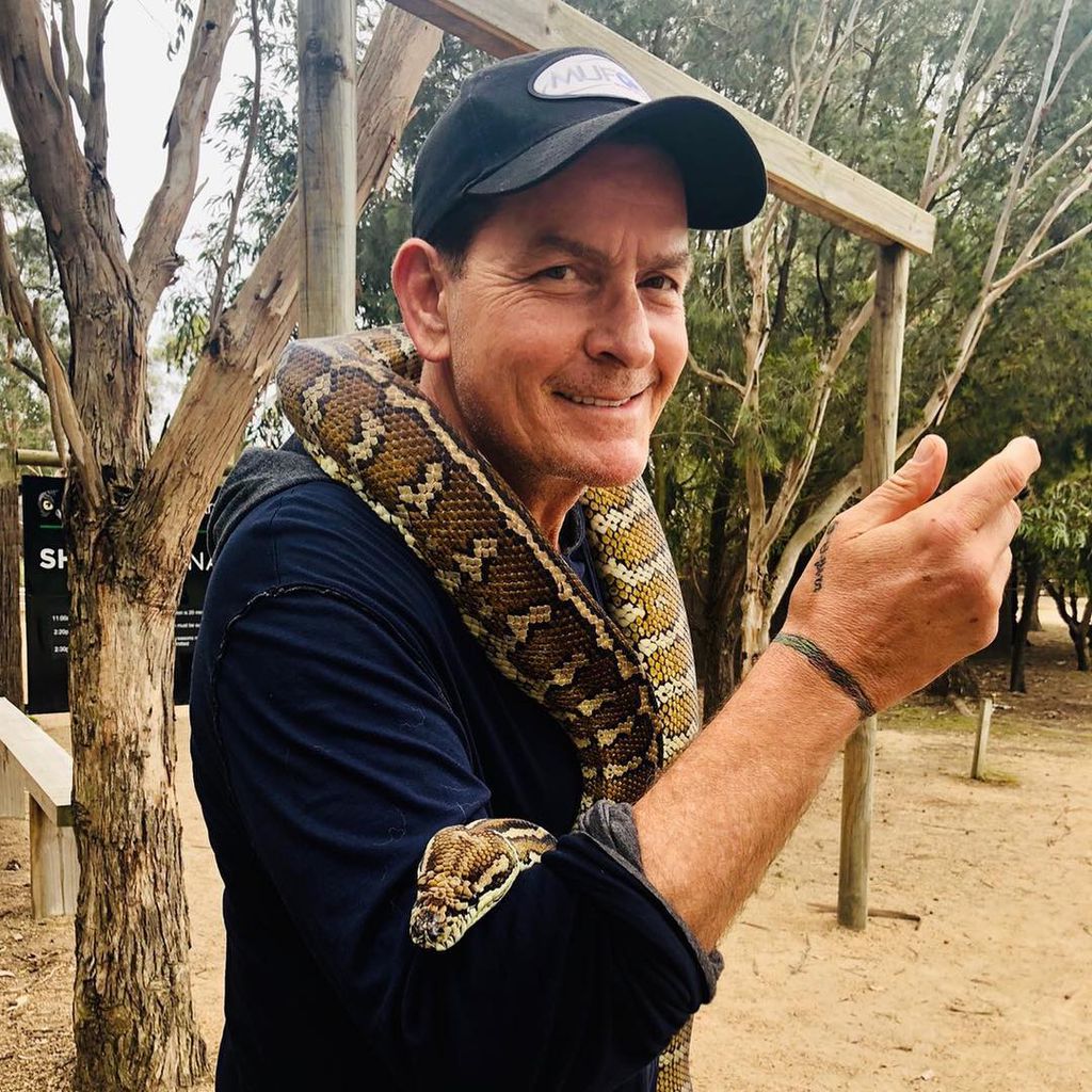 Charlie Sheen, Schauspieler