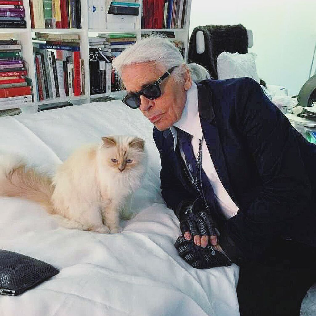 Choupette und Karl Lagerfeld