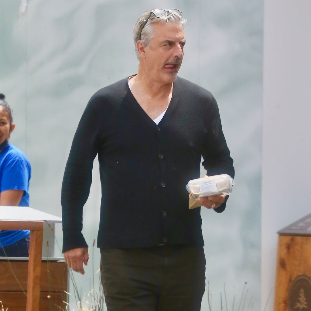 Chris Noth, Schauspieler