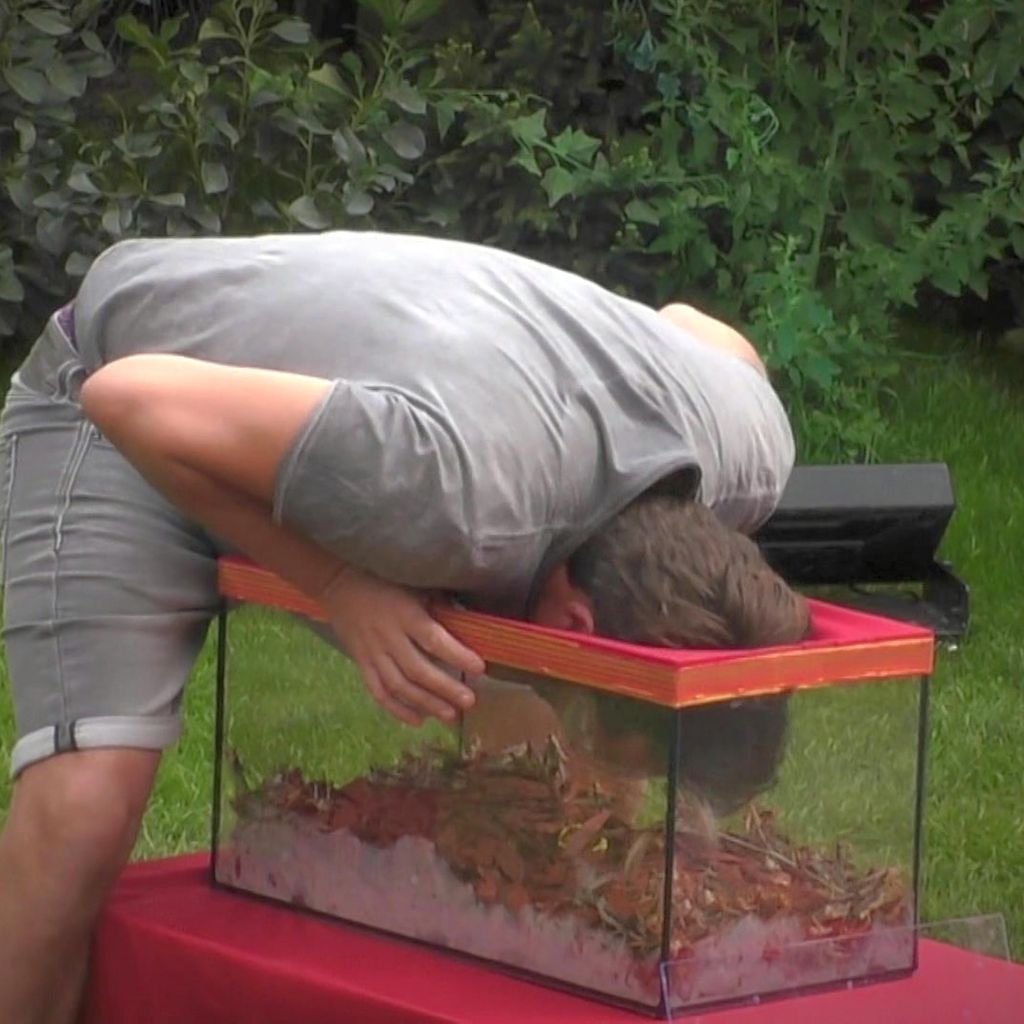 Claude bei seiner "Claudias House of Love"-Challenge