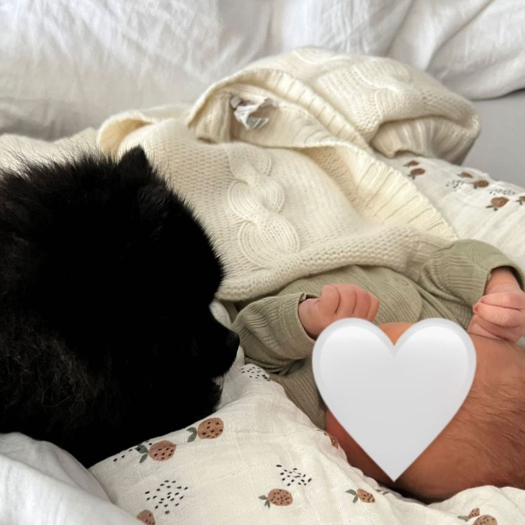 Dagi Bees Hund Zula mit Dagis Söhnchen Nelio