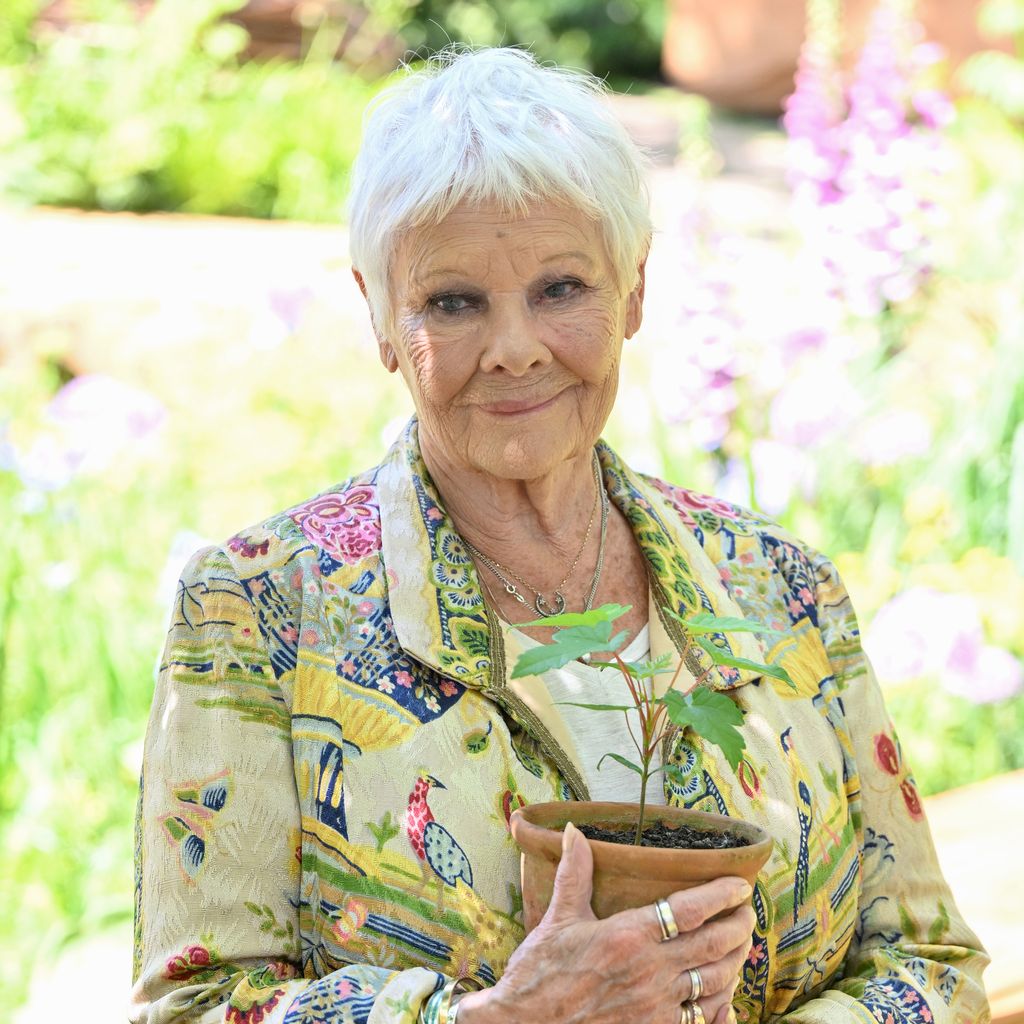 Dame Judi Dench bei der RHS Chelsea Flower Show im Royal Hospital Chelsea, London, Mai 2024
