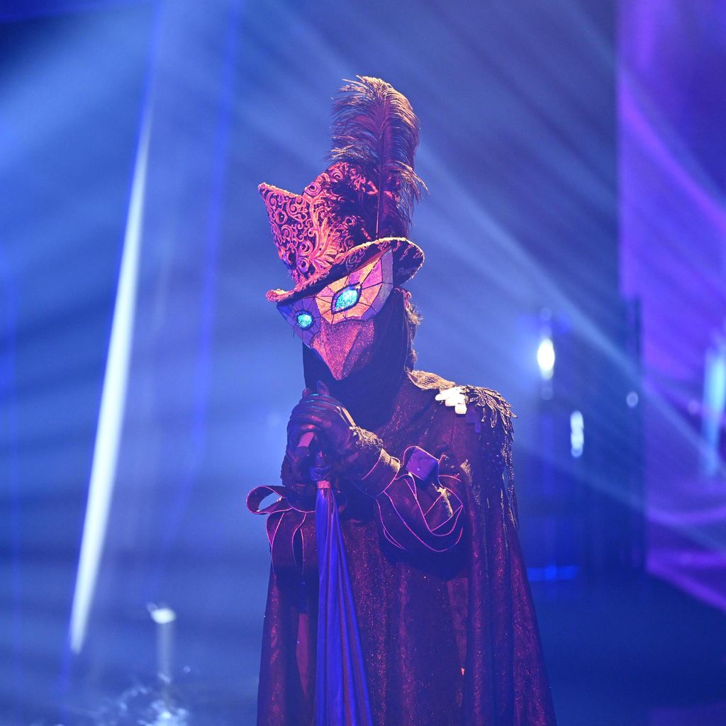Das Mysterium von "The Masked Singer"