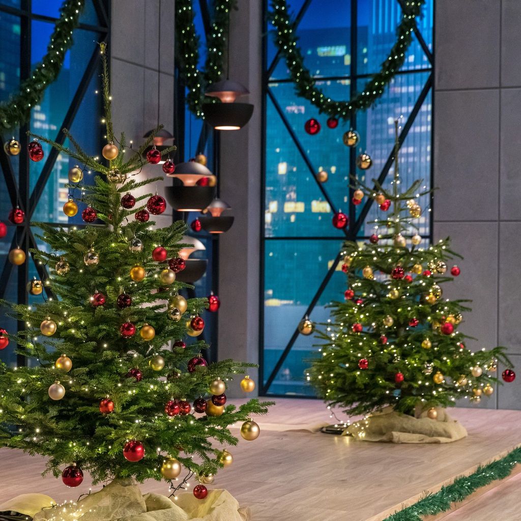 Das Weihnachts-Special bei "Die Höhle der Löwen"