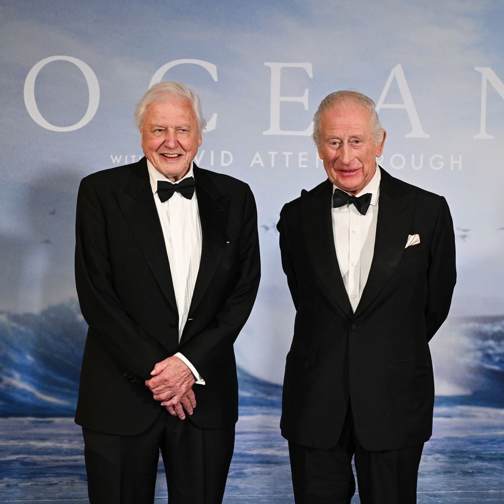 David Attenborough und König Charles bei der Premiere von "Ocean With David Attenborough" in London 2025