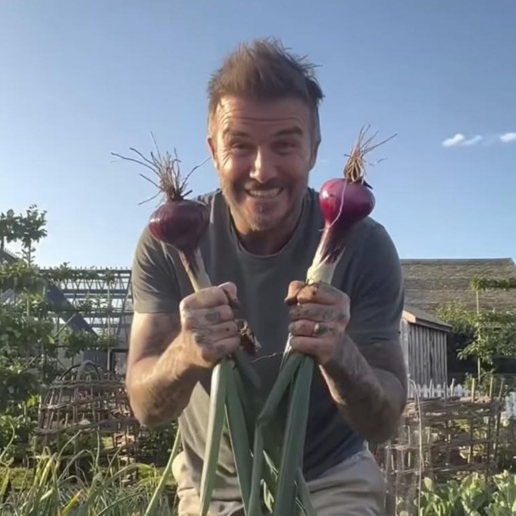 David Beckham bei der Gartenarbeit