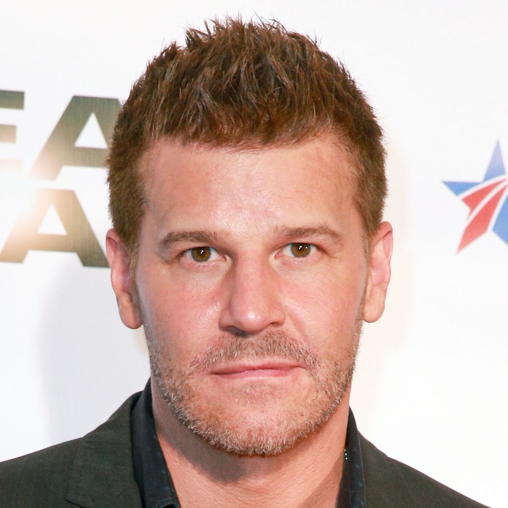 David Boreanaz, "Angel"-Darsteller