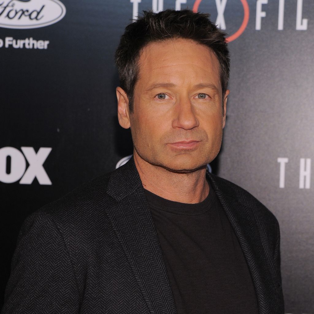 David Duchovny, "Akte X"-Darsteller