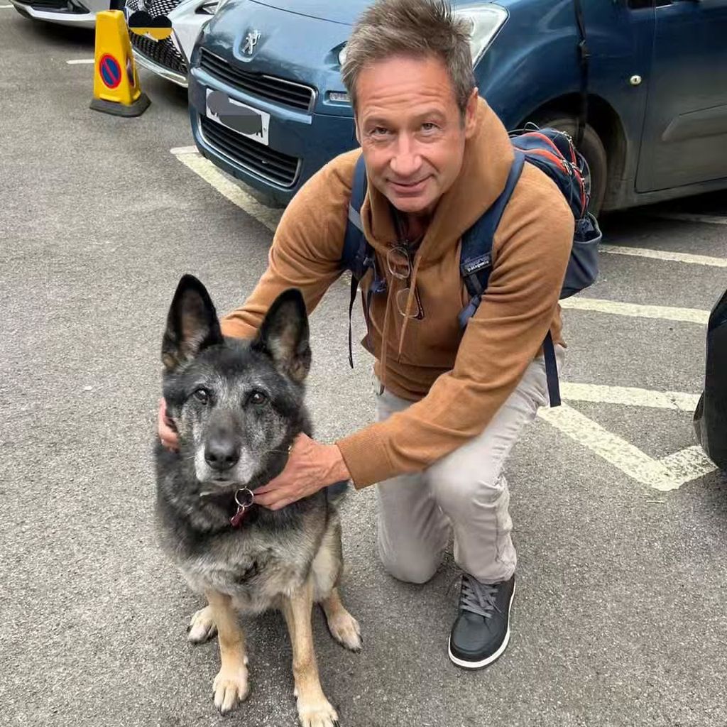 Hündin Antilly mit Hollywoodstar David Duchovny